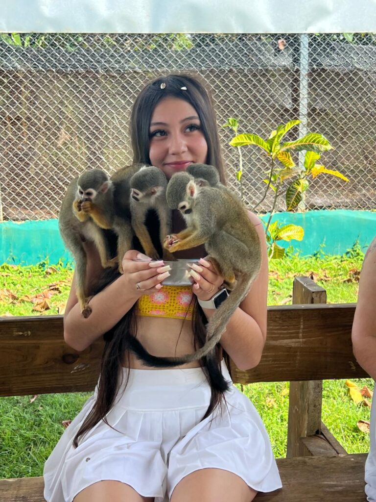 Monkeys and ATV Combo 9