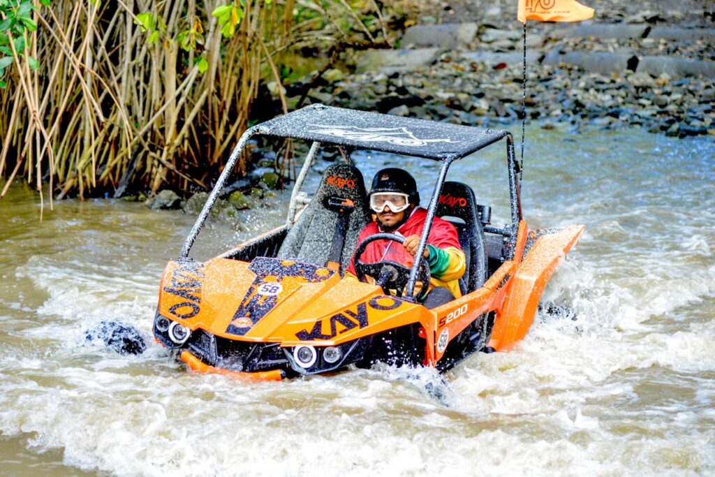 Buggy (Only) 1