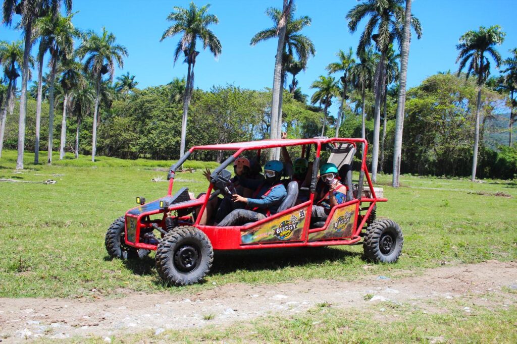 Buggy (Only) 2
