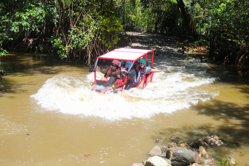 Buggy (Only) 4