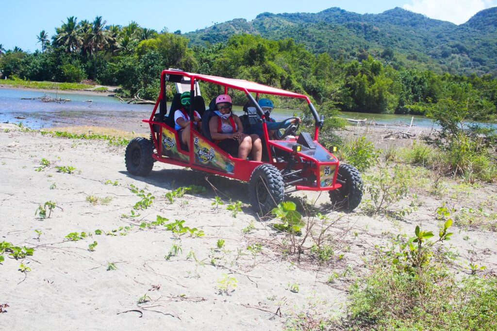 Buggy (Only) 5