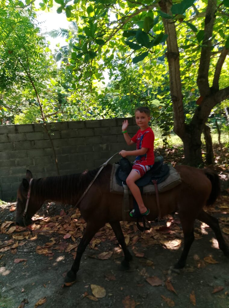 Damajagua and Horseback Riding Combo 10