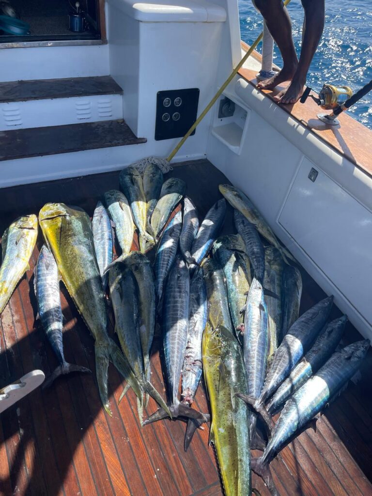Deep Sea Fishing 3