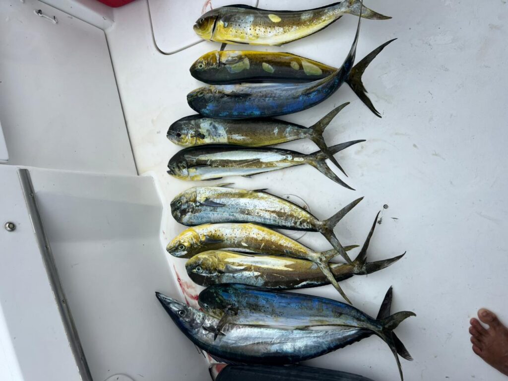 Deep Sea Fishing 1