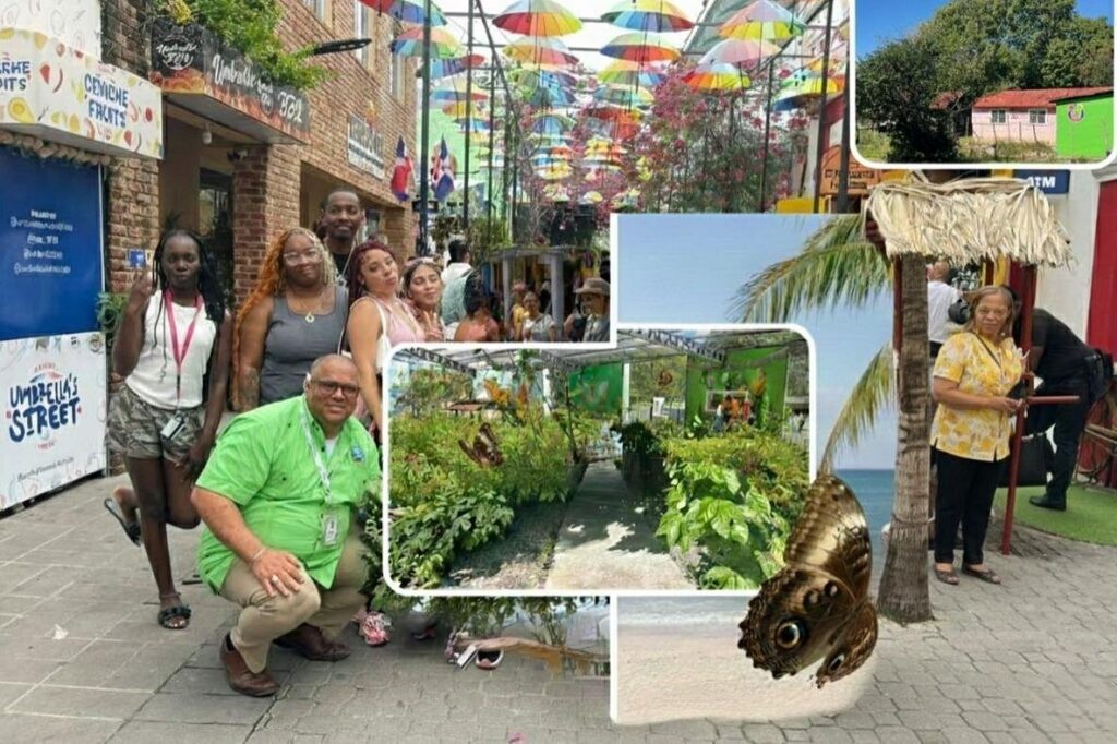 Panoramic Tour of the Reality of the Countryside and Village 8