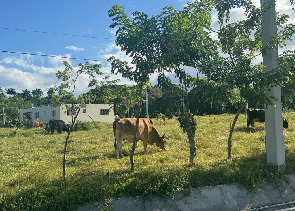 Panoramic Tour of the Reality of the Countryside and Village 1