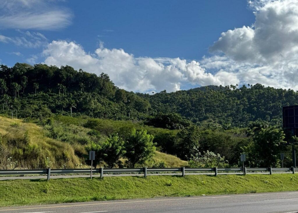 Exclusive Day Pass to El Gallo Ecolodge Nature Retreat 8